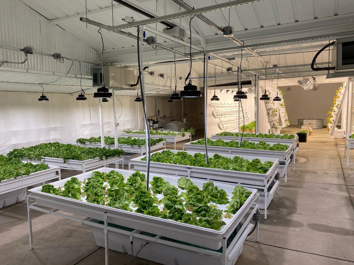 Indoor Hydroponic Farm
